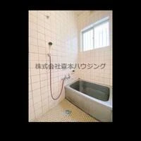 画像262