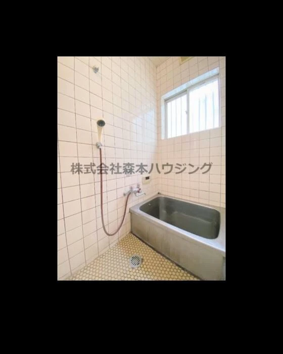 画像262